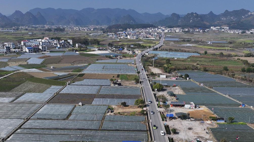 How China is propelling agricultural modernization, rural revitalization