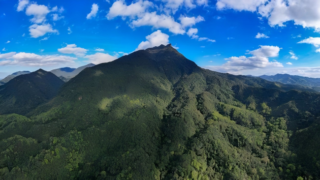 Scenery of Wuzhishan section of Hainan Tropical Rainforest National Park