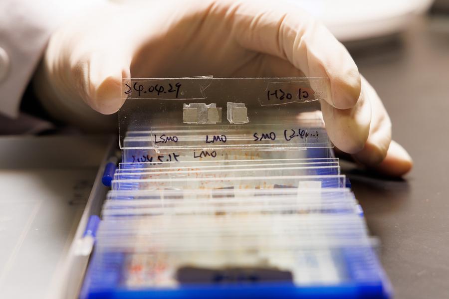 Global impact of Chinese scientific journals is on the rise: report