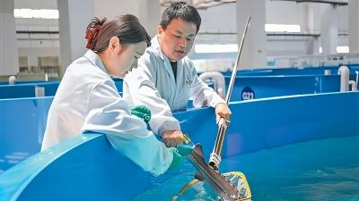 China continues efforts to protect Chinese sturgeon