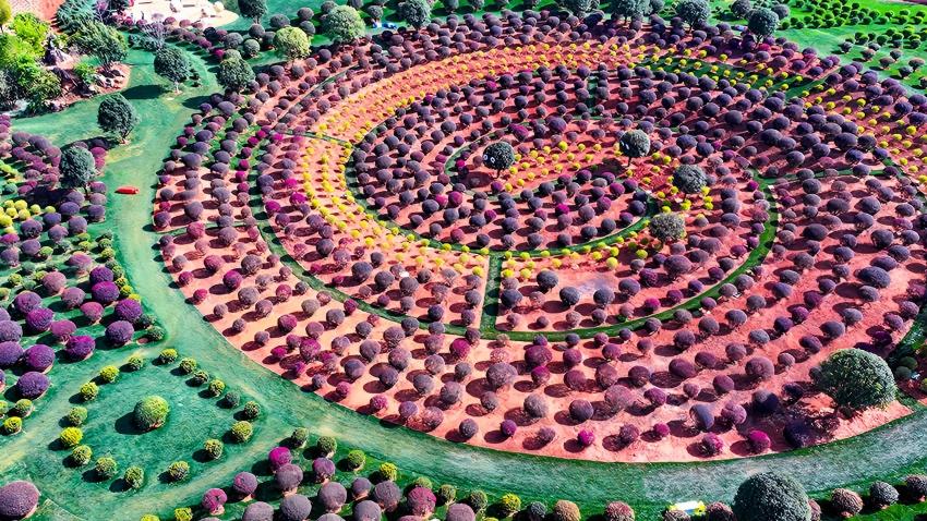 Plants shaped into rounded forms transform park into fairyland in SW China's Yunnan