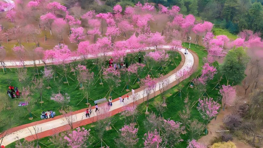 China's green transformation: a global asset