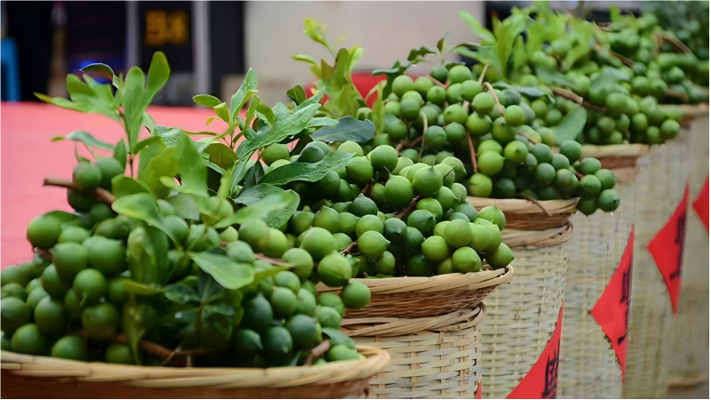 Specialty agricultural products from Lincang, SW China's Yunnan, are making a mark