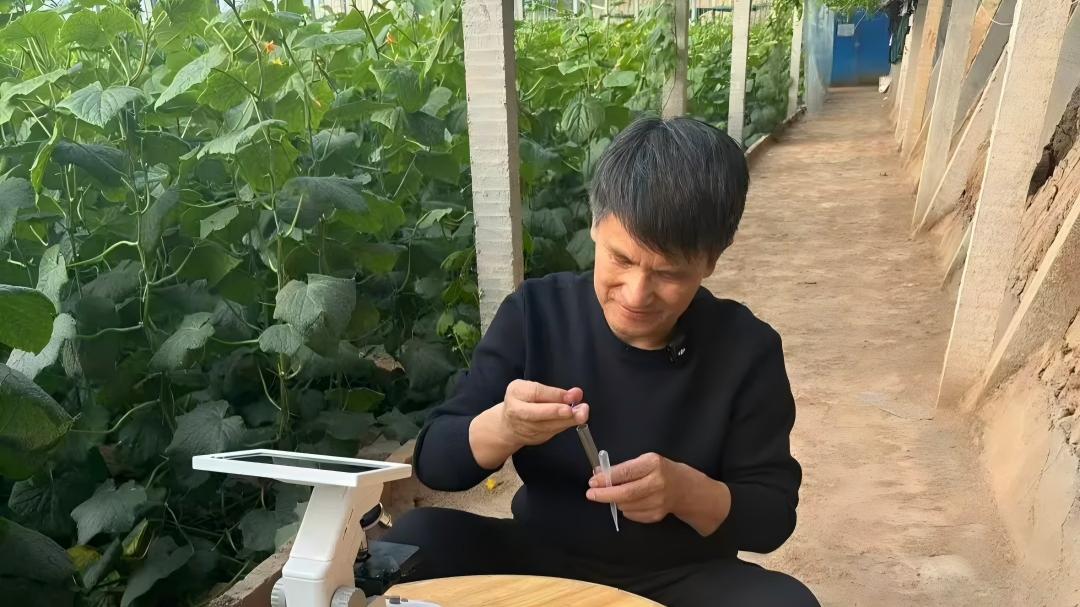 China's 'vegetable doctor' uses short videos to help farmers across the country