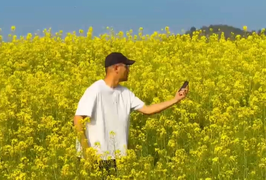 Tossed camera captures rapeseed planet