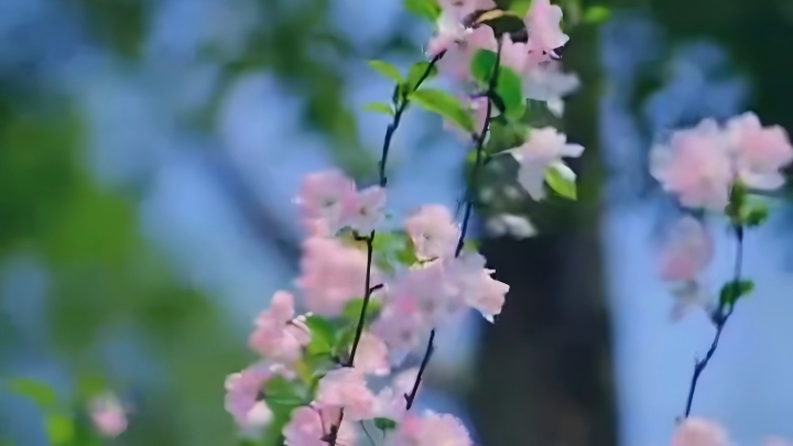 Trending in China | Spring Equinox arrives