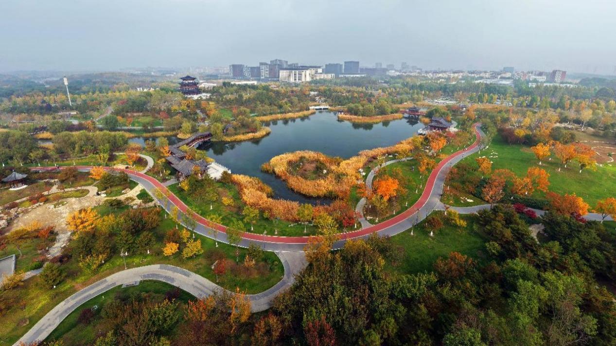 Xiong'an: building a city around green space