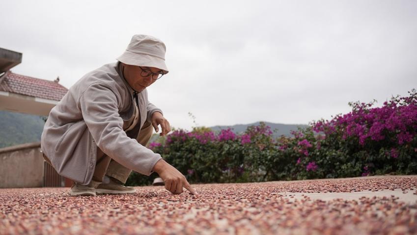 Man turns red corn kernels into creative artworks in SW China's Yunnan