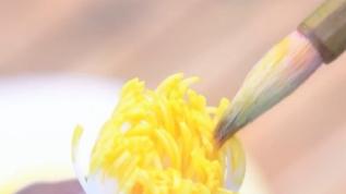 Trending in China | The ever-blooming art of Tongcao flowers