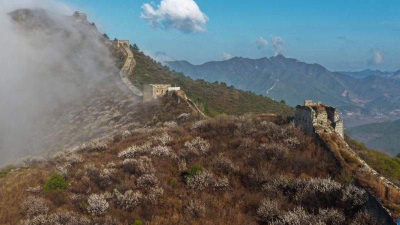 In pics: section of ancient Great Wall in China's Hebei