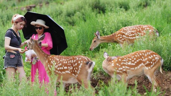 People, authorities across China unite to forge new bond with wild neighbors