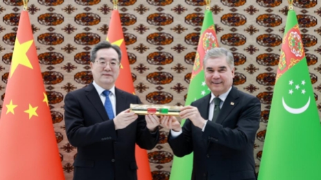New gas field project to further boost China-Turkmenistan energy cooperation: Chinese vice premier