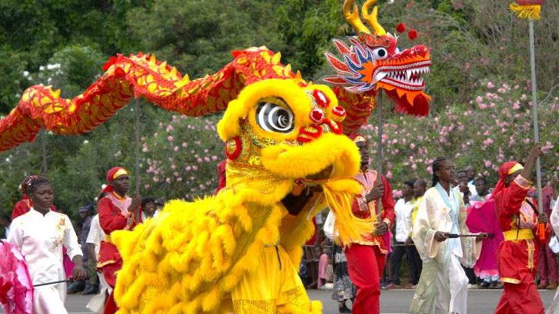 Chinese traditional culture makes debut at Togo's Independence Day celebrations