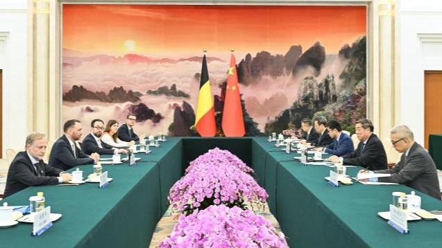 Chinese vice premier meets Belgium's deputy PM on deepening cooperation