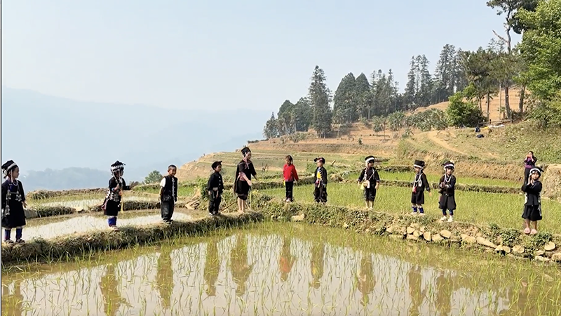 Preschool turns terraced fields into a 'classroom' in SW China's Yunnan
