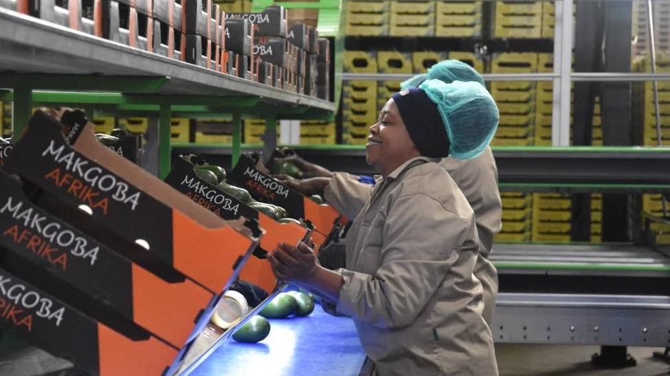 China's zero-tariff policy widely applauded in Africa