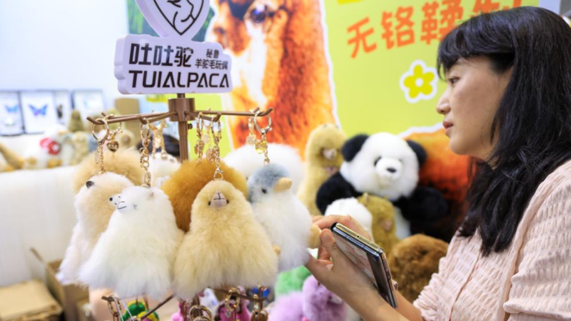 Exhibition area for APEC economies set up at China Int'l Cultural Industries Fair in Shenzhen