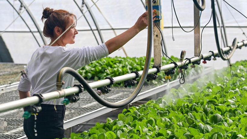 China sharpens anti-poverty "toolkit" to avert relapse into poverty