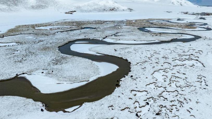 Snow scenery of Qiangtang grassland in Nagqu City, China's Xizang