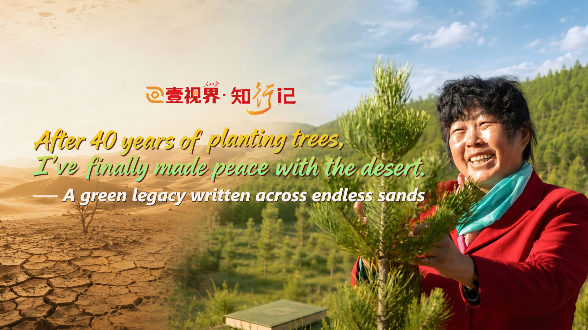 'After 40 years of planting trees, I've finally made peace with the desert'
