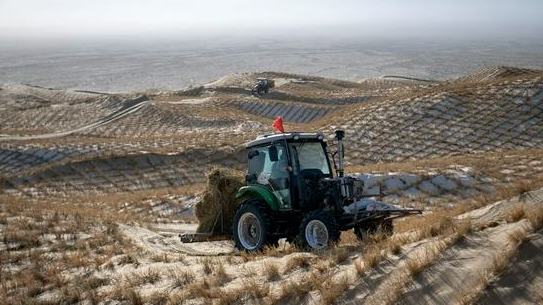 AI empowers China's sandstorm forecasting with speed and precision