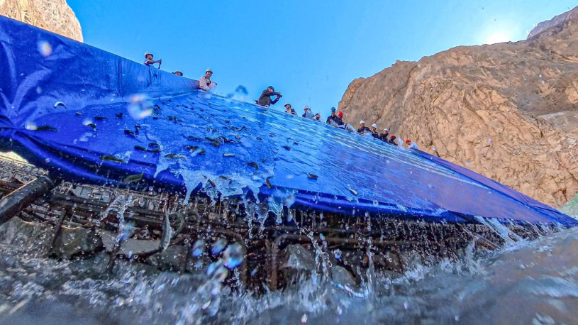 China steps up fish restoration in hydropower-rich upper Yangtze