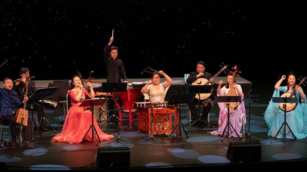 Night of Chinese music held in Auckland to promote dialogue among civilizations