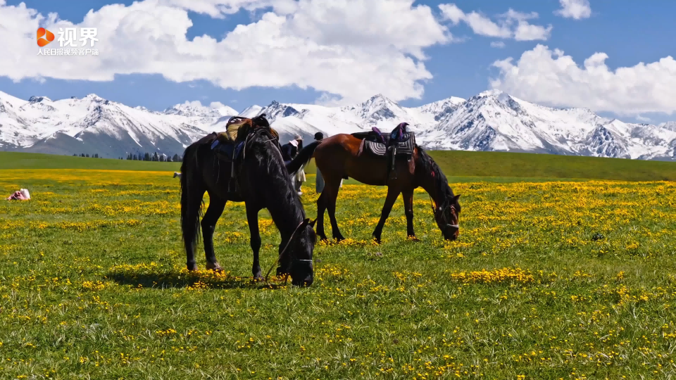 Breathtaking view of Kalajun Grassland in Xinjiang