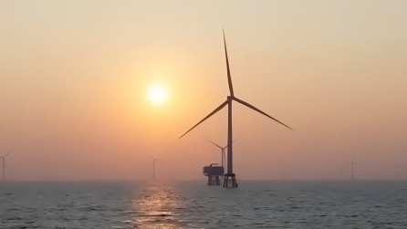 Powering a greener future: Foreign ambassadors explore green development potential in Guangdong