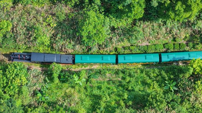Retro-style sightseeing train boosts rural tourism in Shangyou, E China's Jiangxi