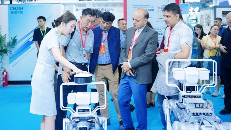 China's smart energy push opens new avenues for global cooperation