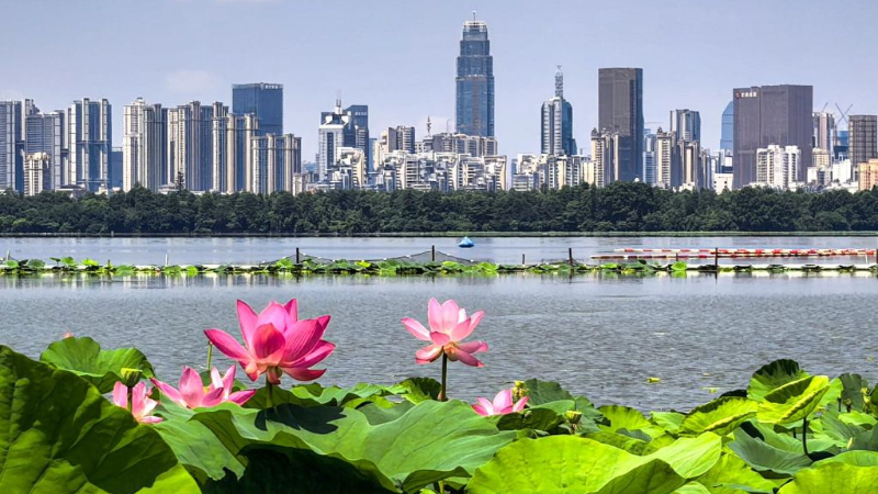 Building on green gains, roadmap charts next five years for a Beautiful China