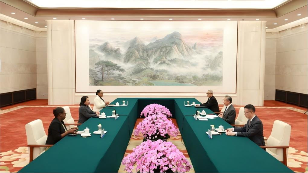 China firmly supports cause of UN: top diplomat