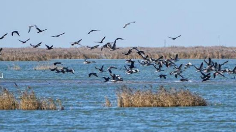Yellow River records 27 consecutive years of uninterrupted flow