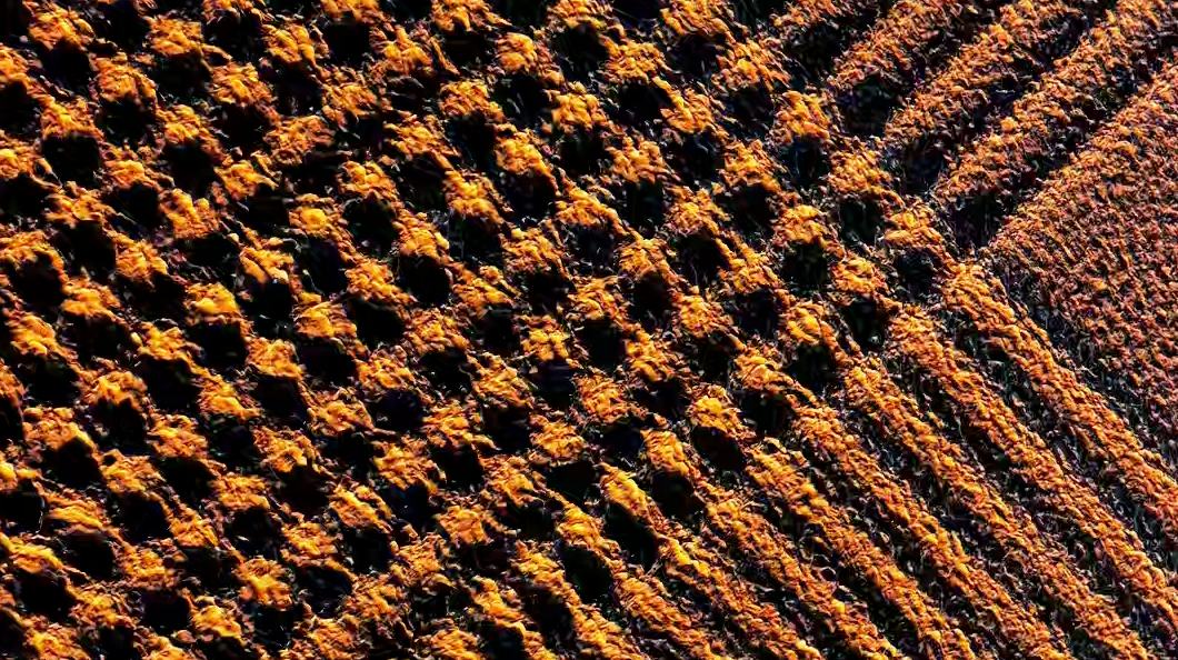 Crisscrossing Qiantang River tides form stunning “fishing‑net” waves