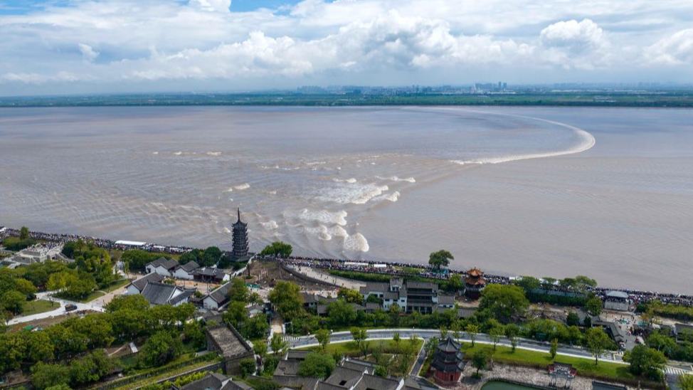 Tidal bore of Qiantang River attracts tourists in E China's Zhejiang