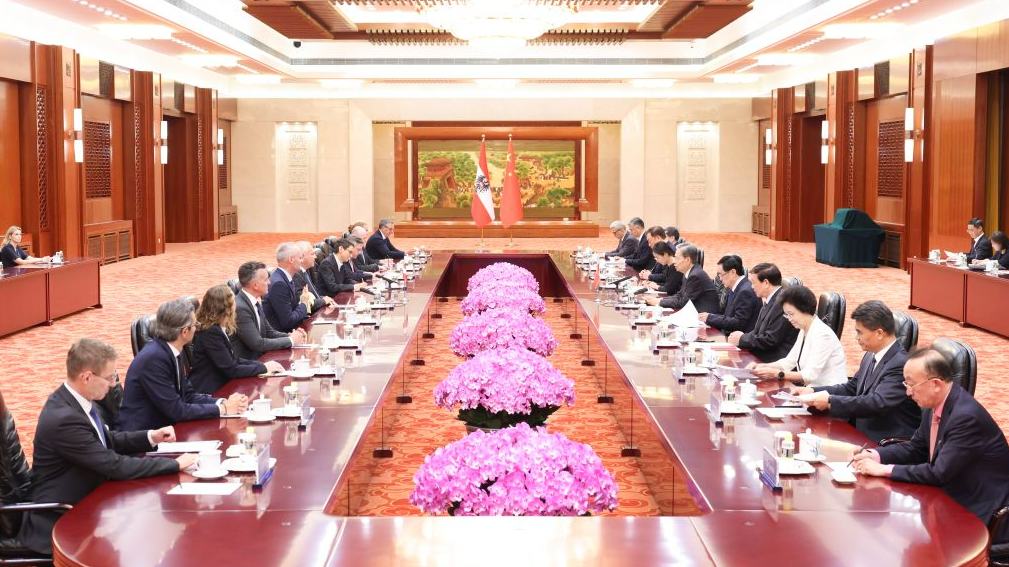 China's top legislator holds talks with president of National Council of Austria