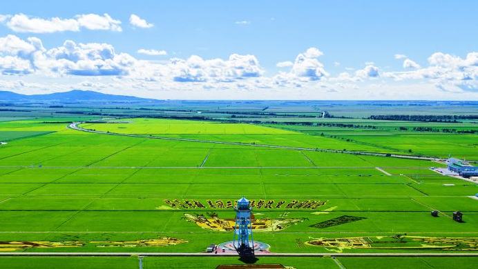 China's top grain-producing province turns paddies into tourist destinations