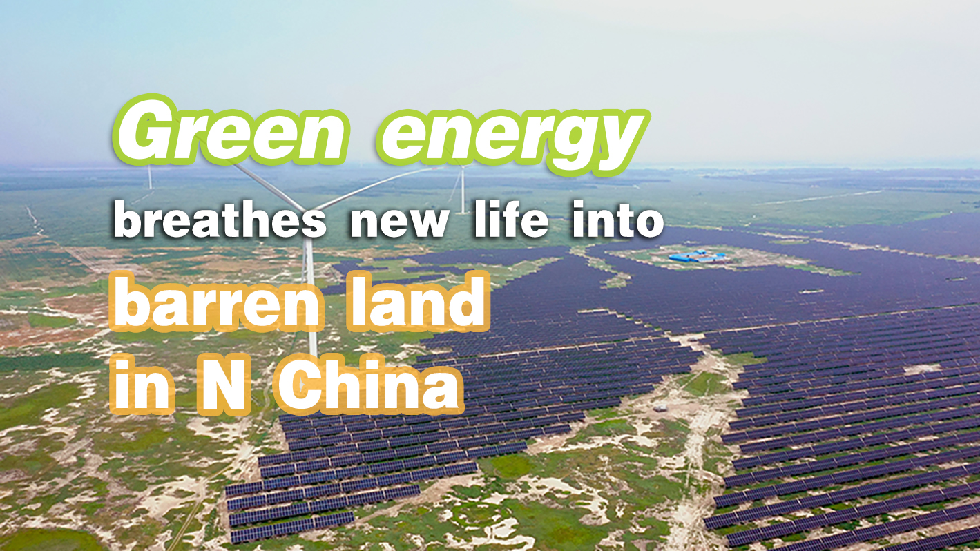 Green energy breathes new life into barren land in N China