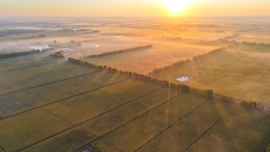 Farmers busy with farm work around White Dew
