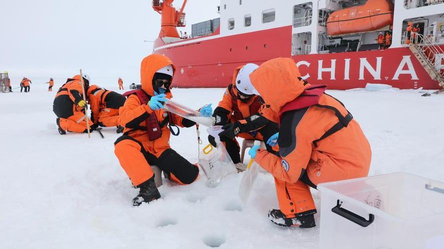 Chinese Arctic expedition finds anti-freeze fish beneath high-latitude ice