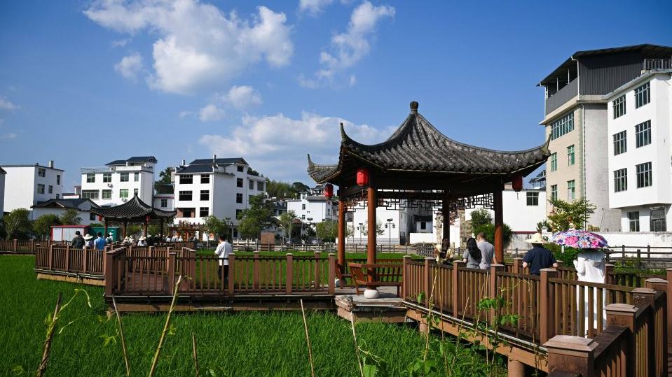 Ninghua of China's Fujian, a Long March starting point, has rich revolutionary history
