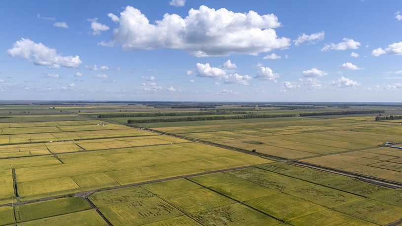 China's Heilongjiang advances all autumn harvest operations in orderly manner