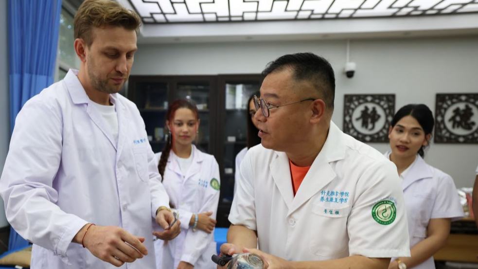 Foreign students learn Traditional Chinese Medicine in Shenyang, China's Liaoning