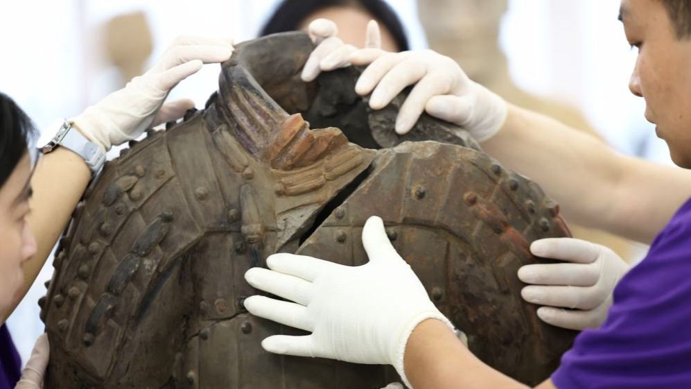 Advanced technology boosts conservation, restoration of Terracotta Warriors in NW China's Shaanxi
