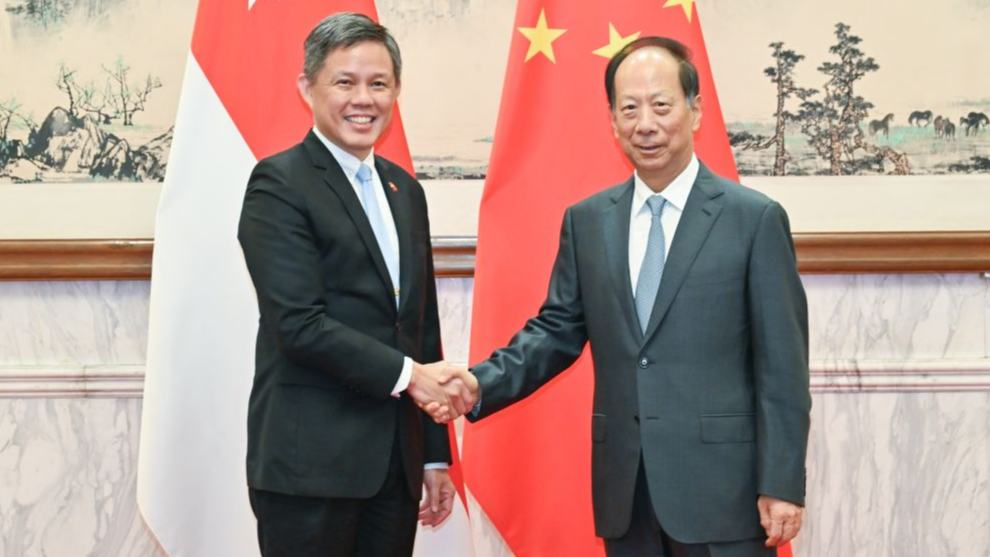 Senior CPC official meets with Singapore's coordinating minister for public services