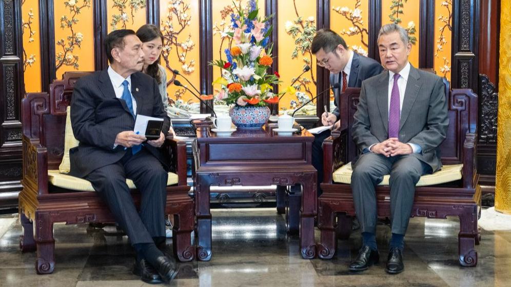Chinese FM meets chairman of Indonesia's National Economic Council