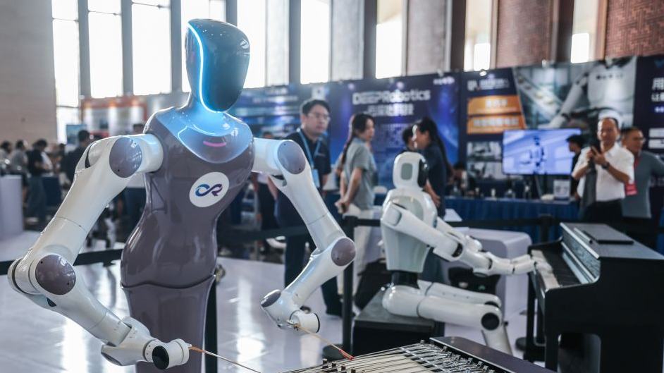 9th China Robotop Summit kicks off in Hangzhou