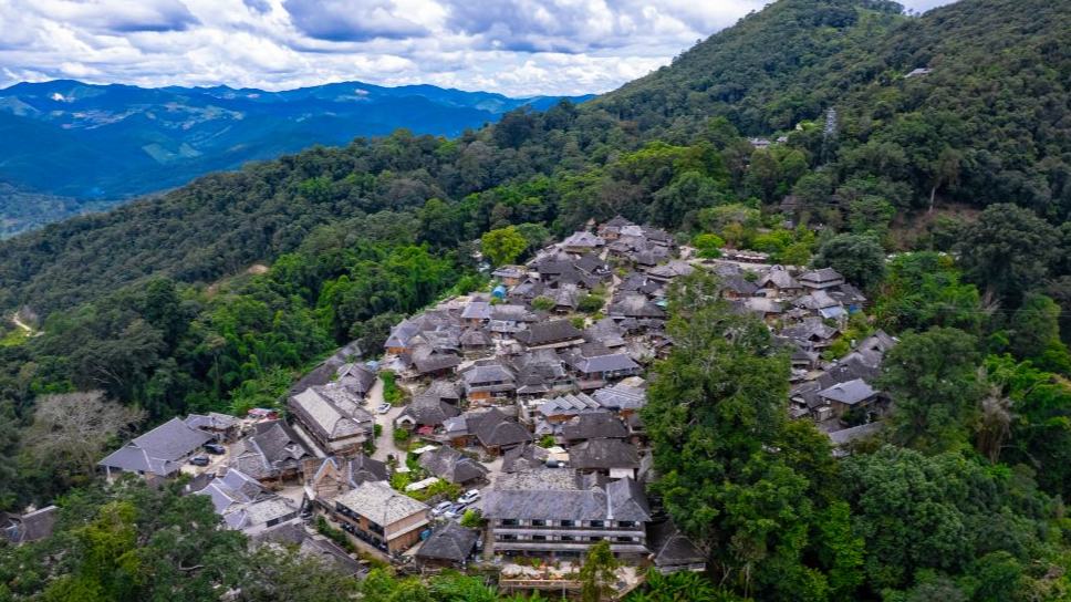 Jingmai Mountain in China's Yunnan draws tourists with tea culture