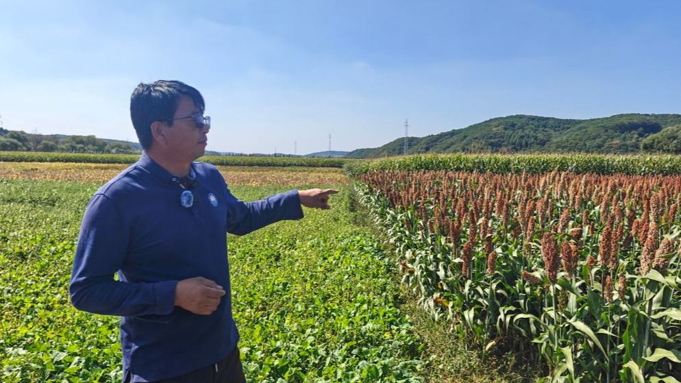 China's tech strategy for preserving precious black soil farmland